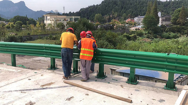 青海高速公路护栏板的维护确保道路安全的关键环节